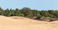 263648
