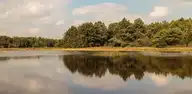 263663