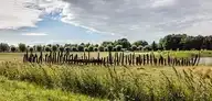 263734