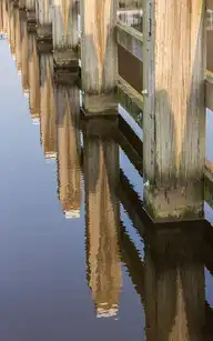 263764