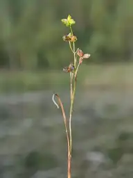 263850