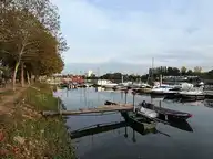 263925