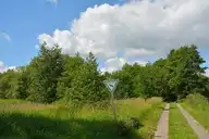 264231