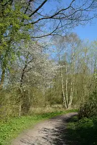 264339