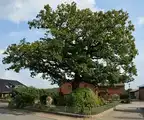 264357