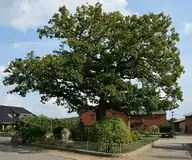 264357
