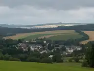 264433