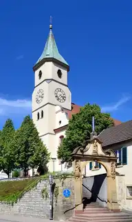 264462