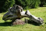 265018