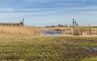 265116