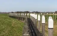 265204
