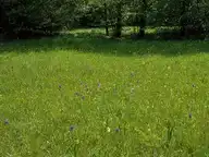 265488