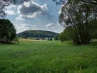 265991