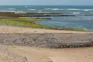 266387