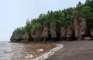 266441