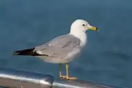 266473