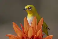 266566