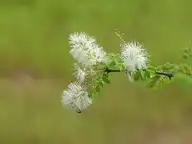 267639