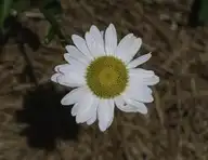 268661