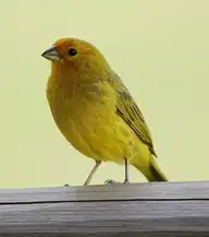 269212