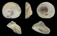 269473