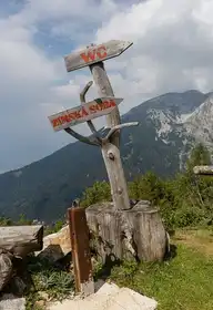 269544