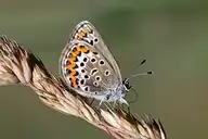 269948