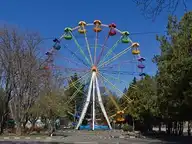 270024