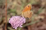 271587