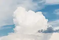 27177