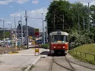 271834