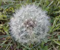 272376