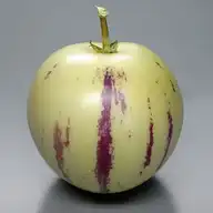 272461