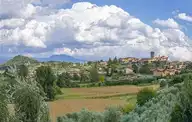 272494