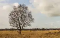 272630
