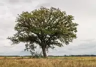 272649