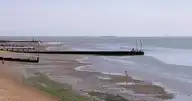 273389