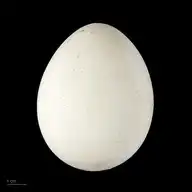 274186
