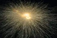 274460