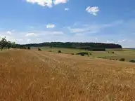 274631