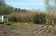 275086