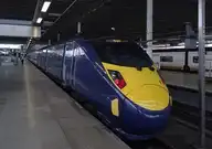 276037