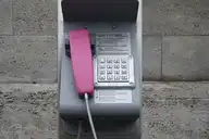 277843