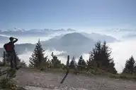 277989