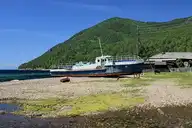 278209