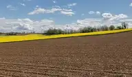 279113