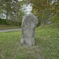 279529