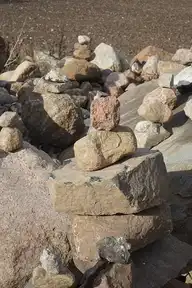 279548