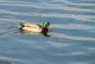 280677