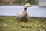 281848